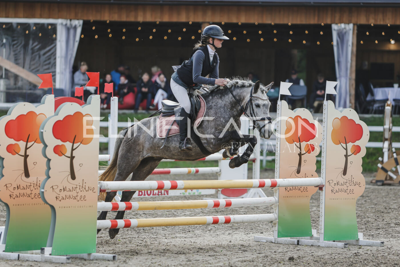 Parnu_CHI_3V_2026_CCN80_TS_210