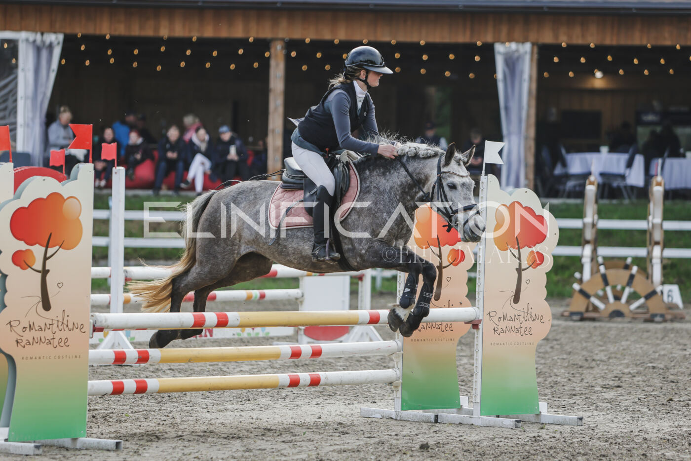 Parnu_CHI_3V_2026_CCN80_TS_212