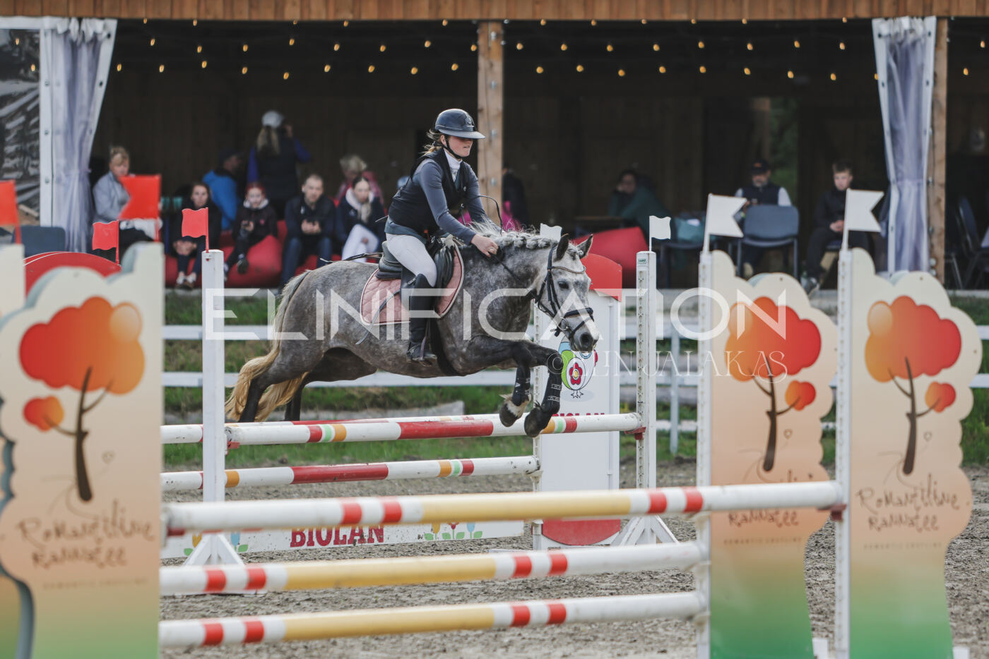 Parnu_CHI_3V_2026_CCN80_TS_219