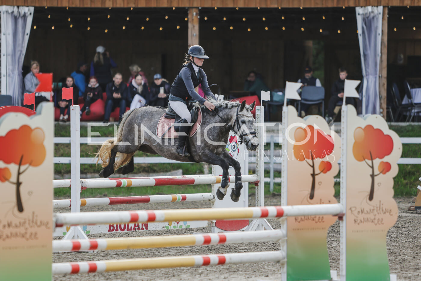 Parnu_CHI_3V_2026_CCN80_TS_220