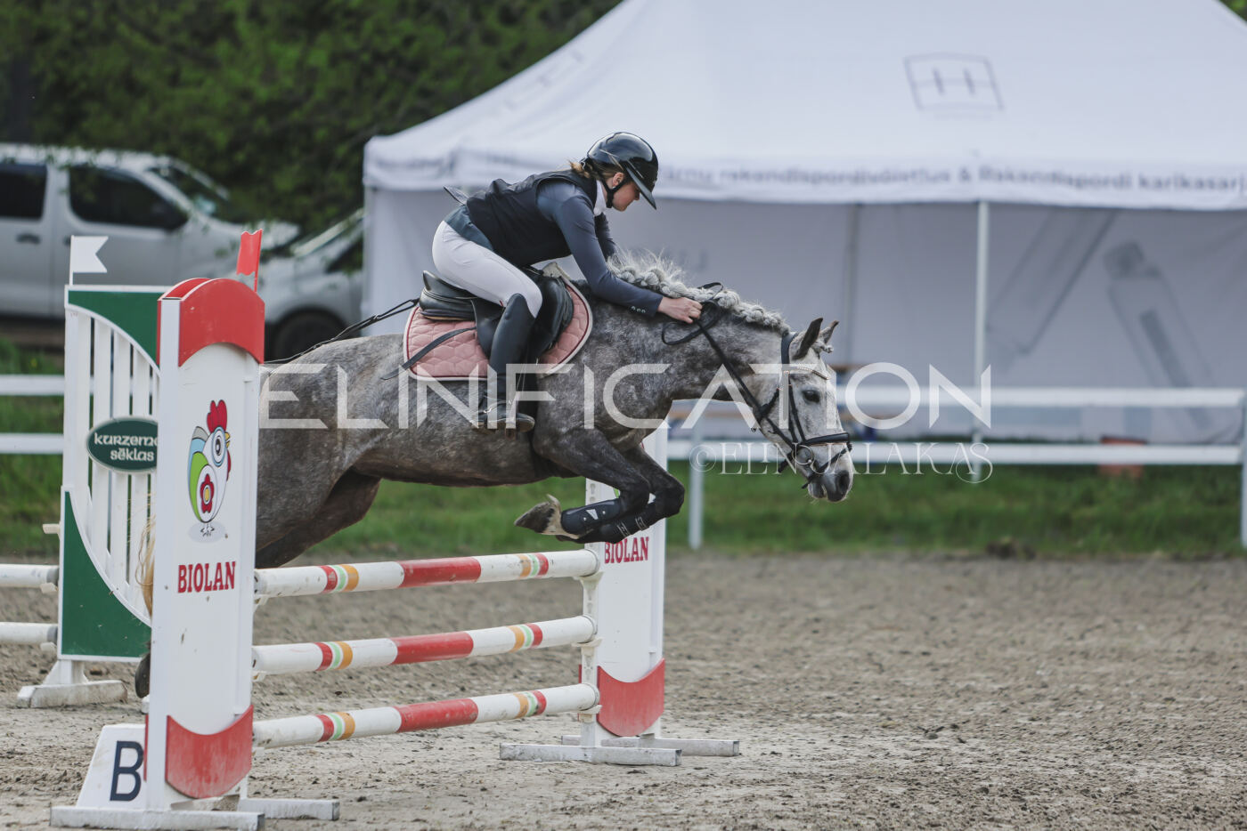 Parnu_CHI_3V_2026_CCN80_TS_221