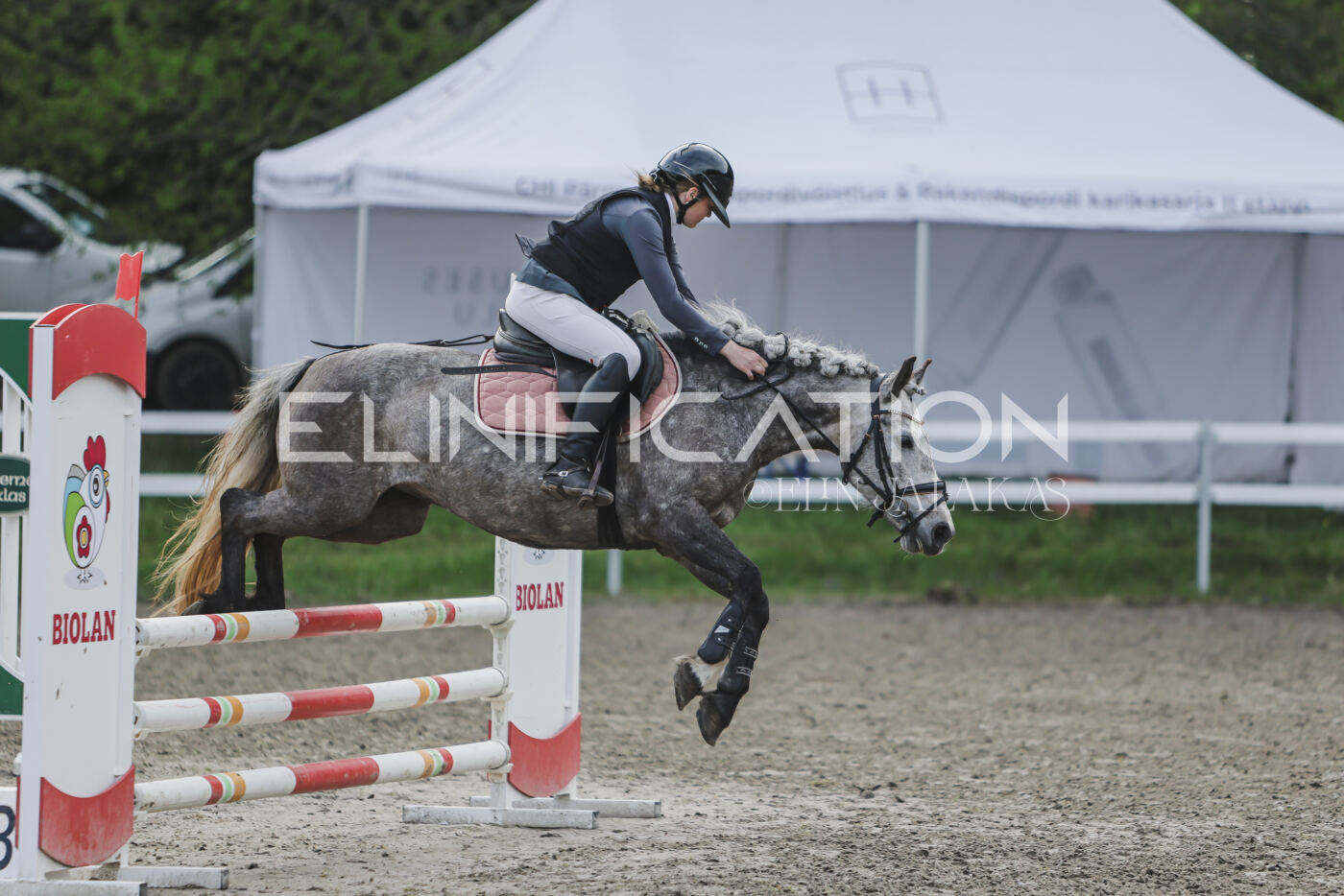 Parnu_CHI_3V_2026_CCN80_TS_223