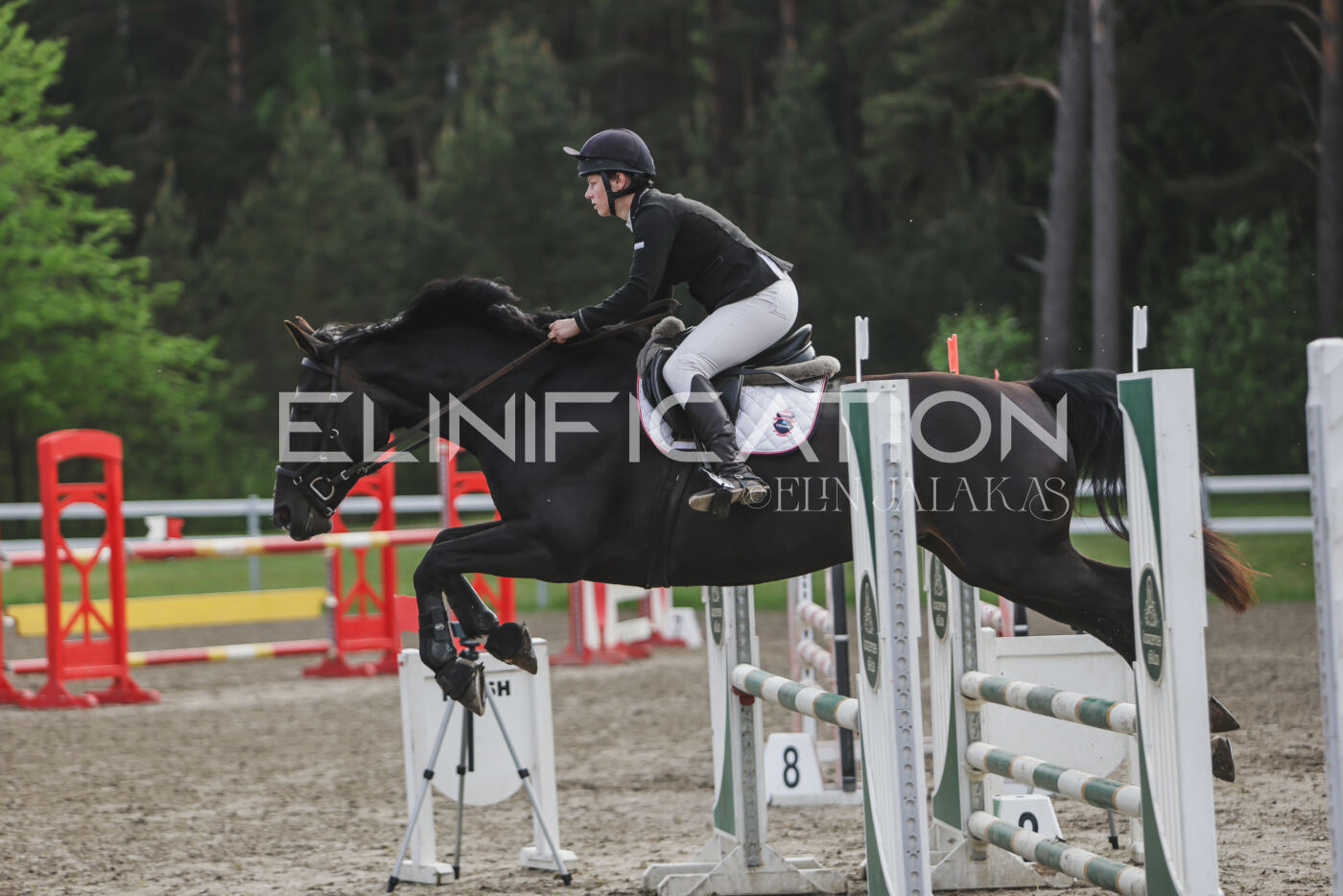 Parnu_CHI_3V_2026_CCN80_TS_235