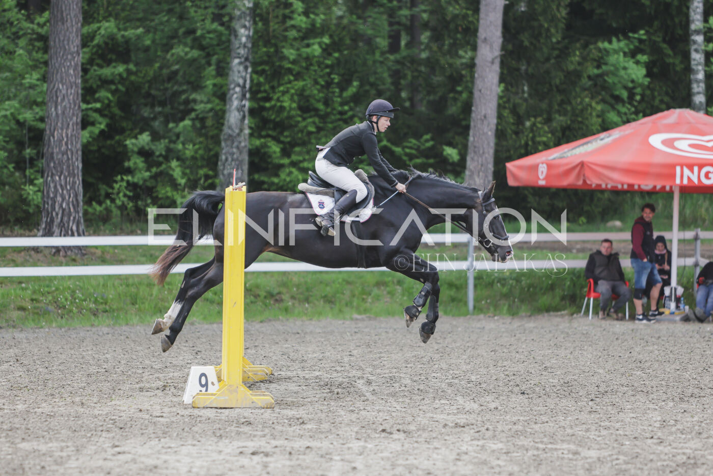 Parnu_CHI_3V_2026_CCN80_TS_242