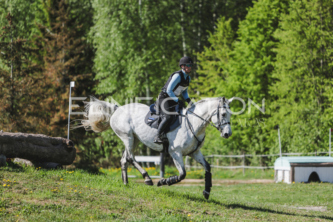 Parnu_CHI_3V_2026_CCN80_XC_012