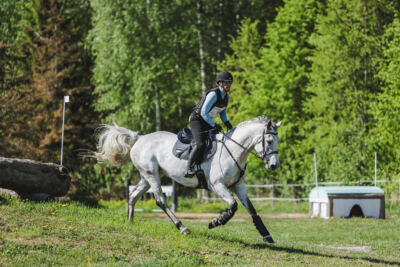 Parnu_CHI_3V_2026_CCN80_XC_013