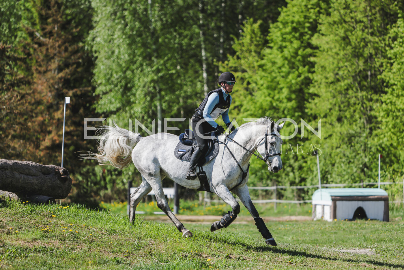 Parnu_CHI_3V_2026_CCN80_XC_013
