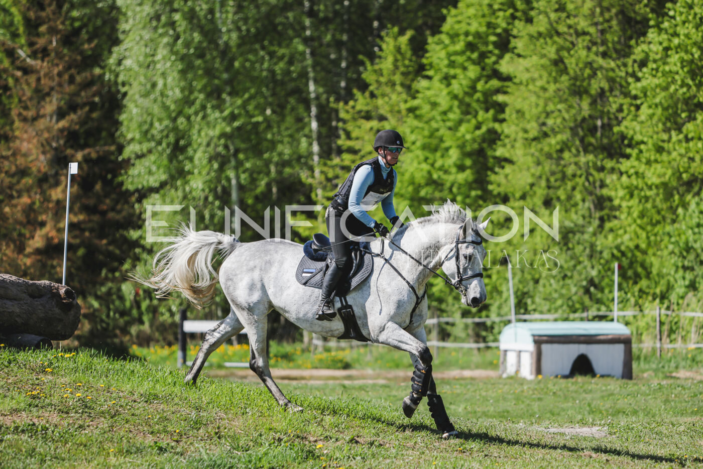 Parnu_CHI_3V_2026_CCN80_XC_014