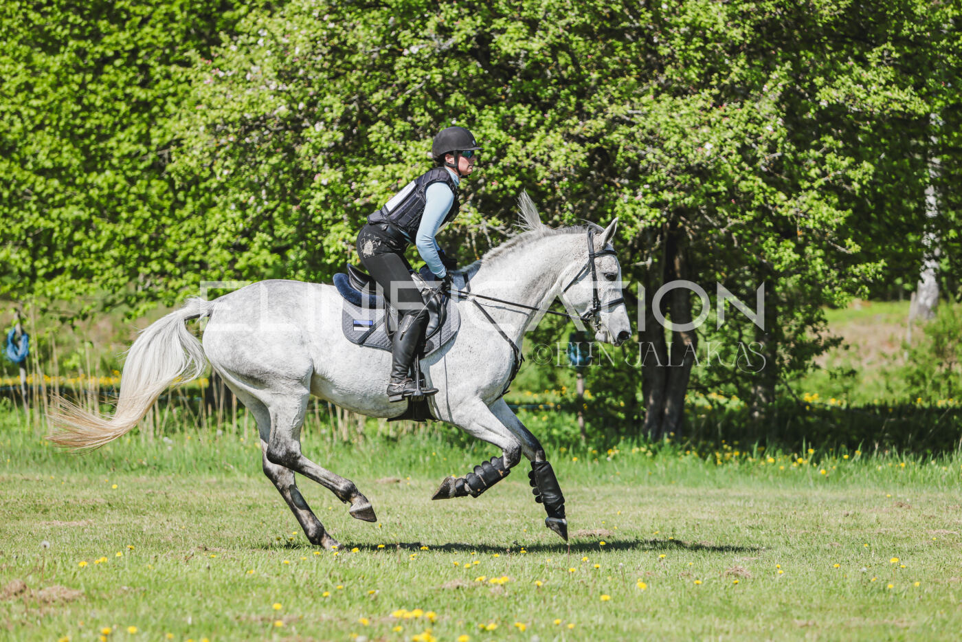 Parnu_CHI_3V_2026_CCN80_XC_015