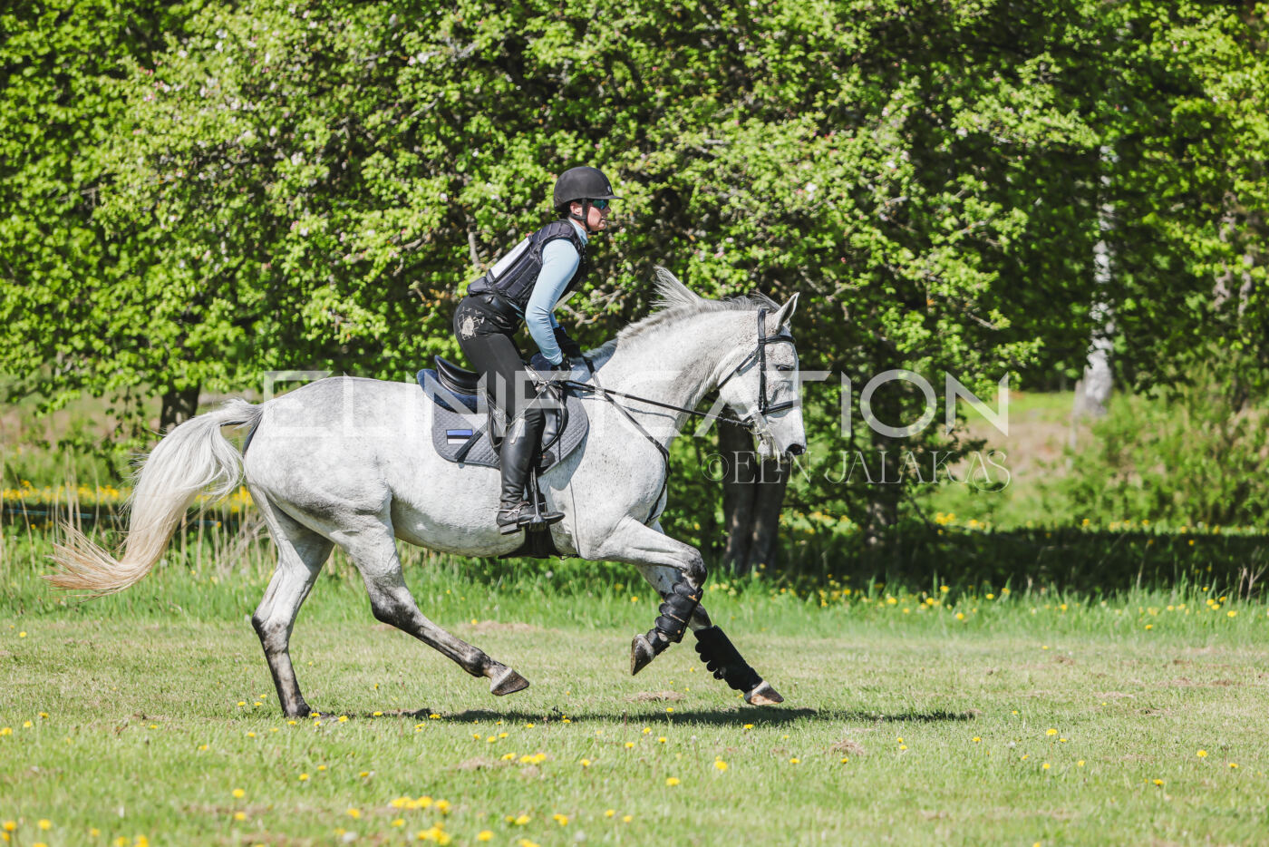 Parnu_CHI_3V_2026_CCN80_XC_016