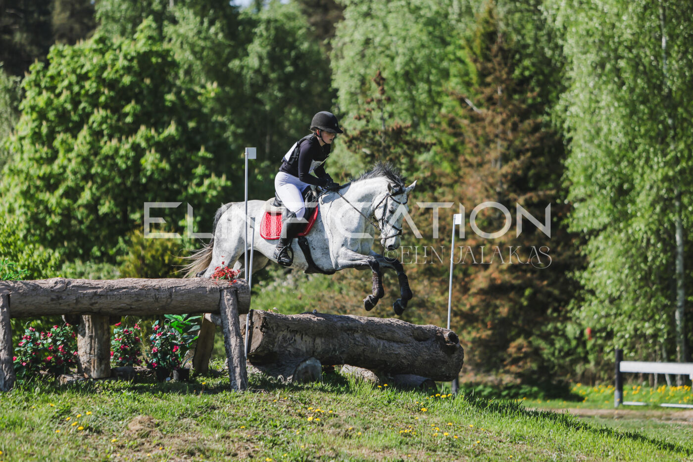 Parnu_CHI_3V_2026_CCN80_XC_023