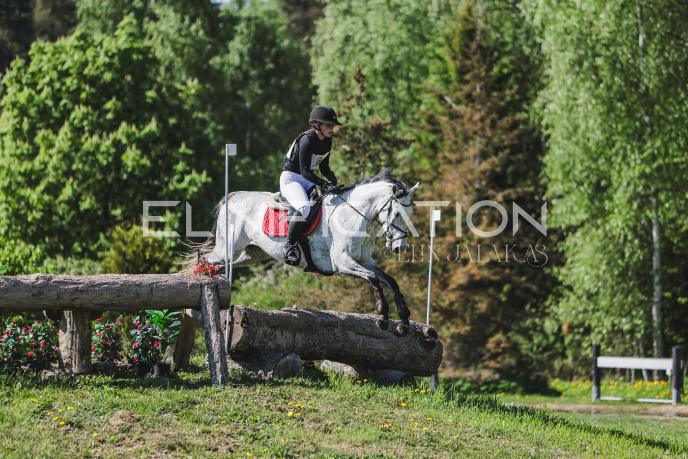 Parnu_CHI_3V_2026_CCN80_XC_024