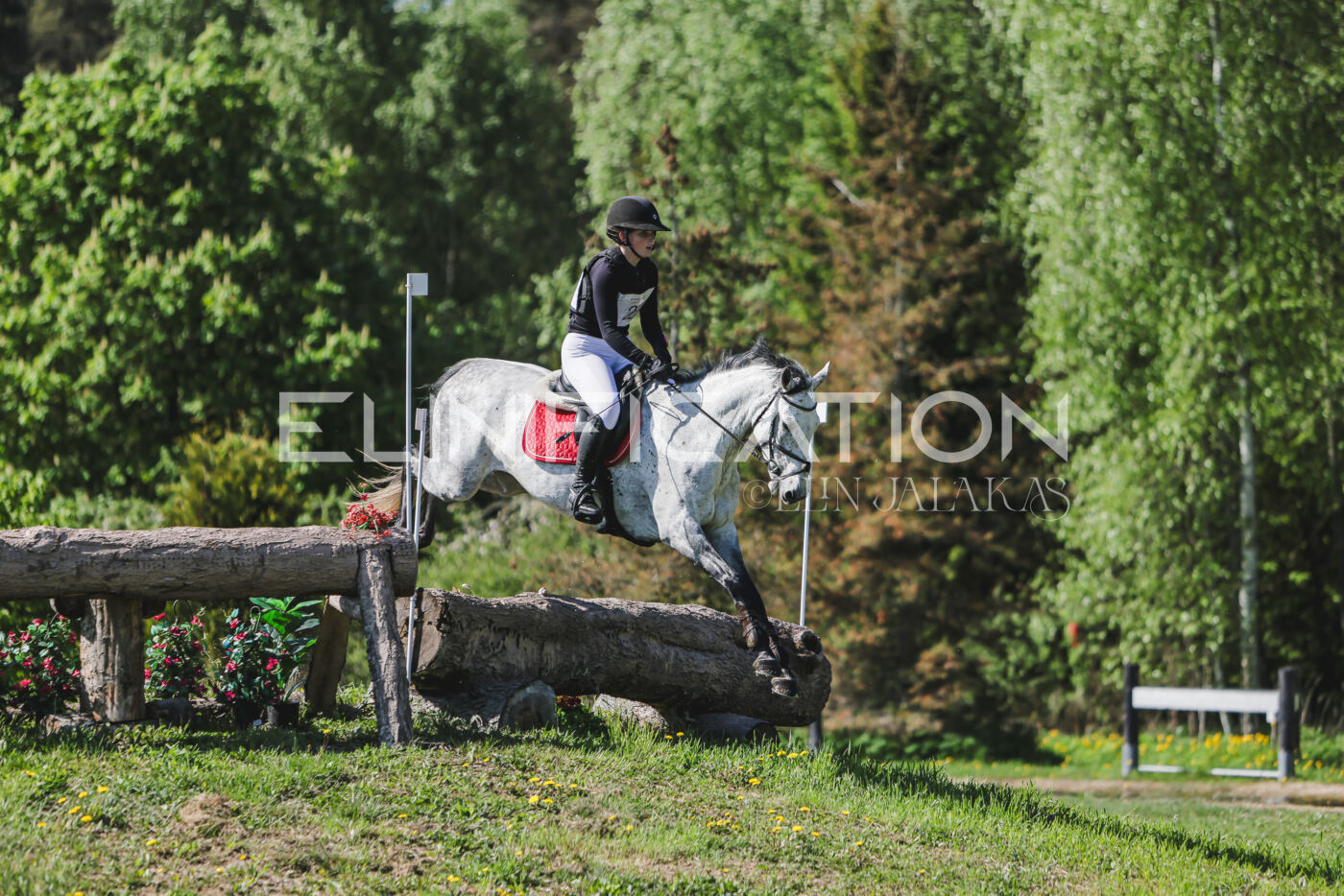Parnu_CHI_3V_2026_CCN80_XC_025