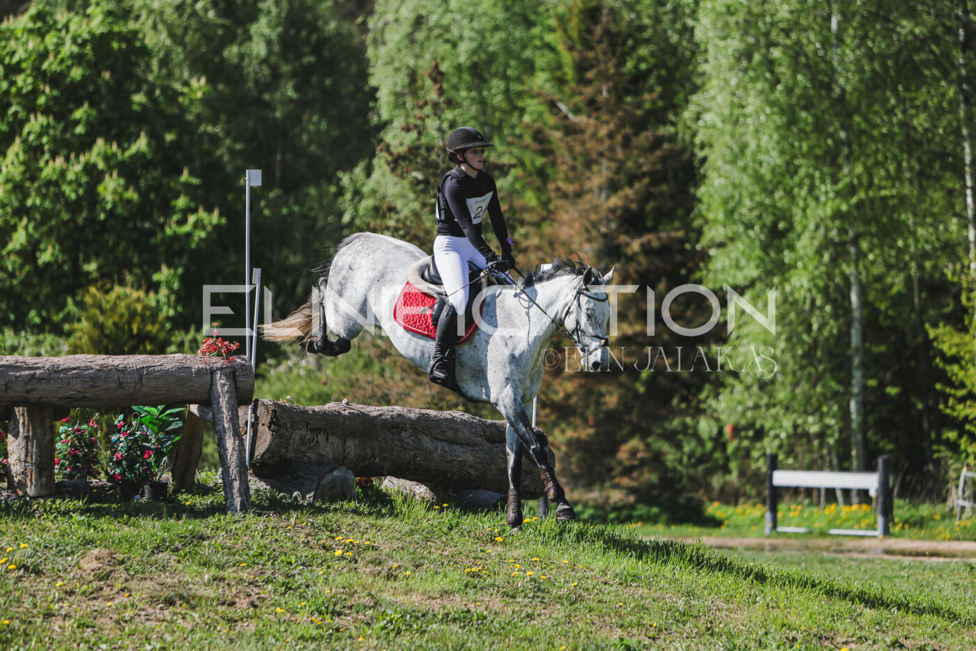 Parnu_CHI_3V_2026_CCN80_XC_027