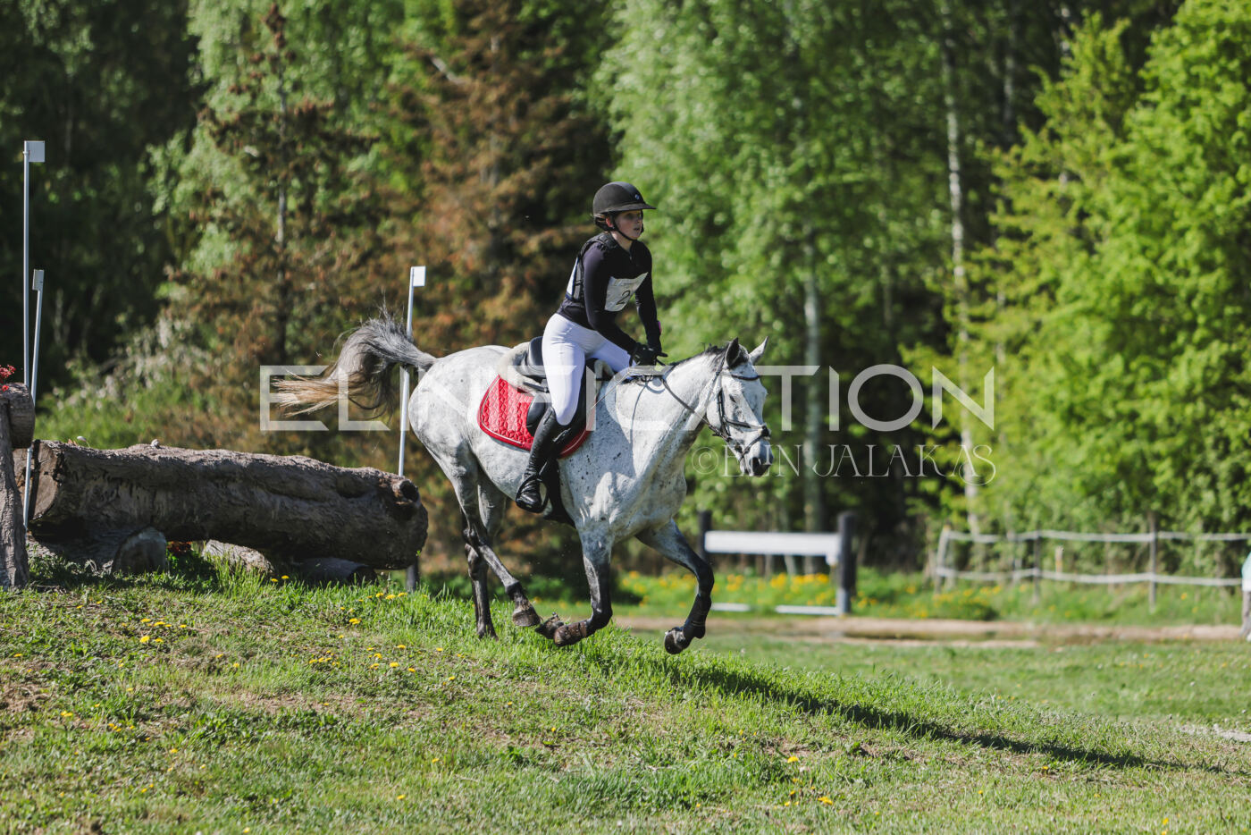 Parnu_CHI_3V_2026_CCN80_XC_028