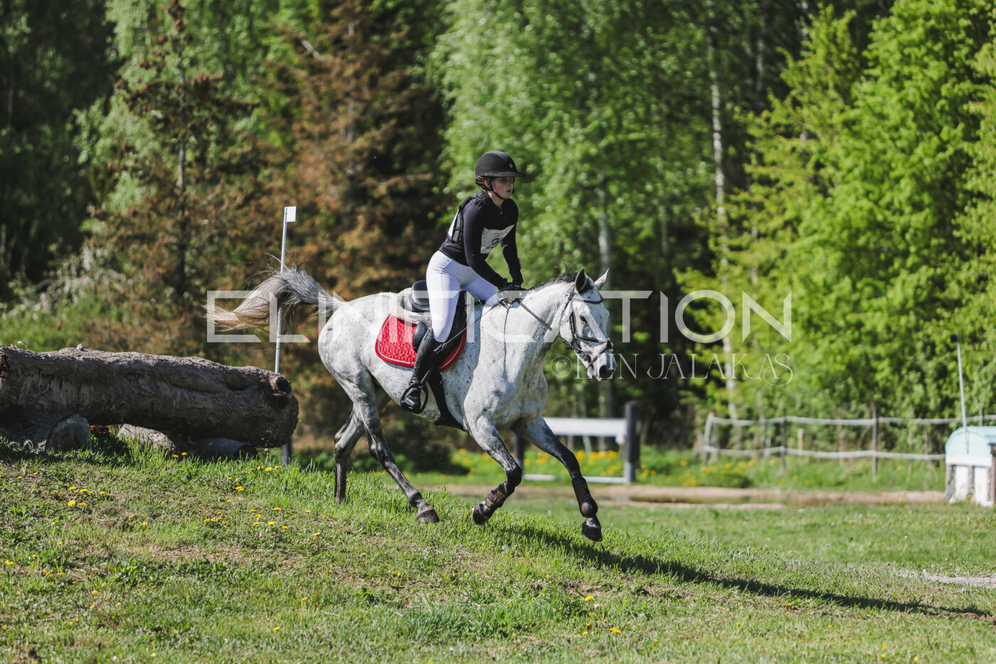 Parnu_CHI_3V_2026_CCN80_XC_029