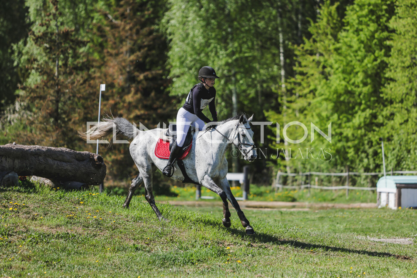 Parnu_CHI_3V_2026_CCN80_XC_030