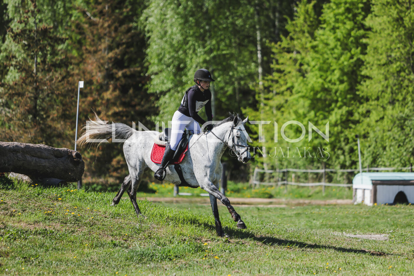 Parnu_CHI_3V_2026_CCN80_XC_031