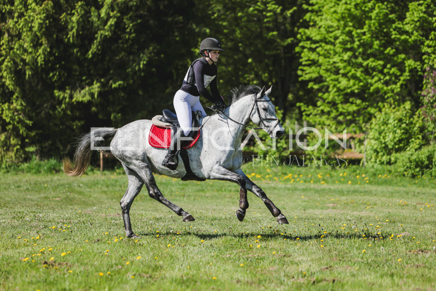 Parnu_CHI_3V_2026_CCN80_XC_032