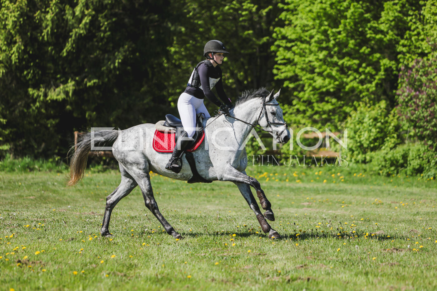 Parnu_CHI_3V_2026_CCN80_XC_033