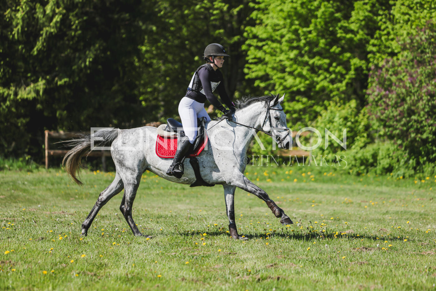 Parnu_CHI_3V_2026_CCN80_XC_034