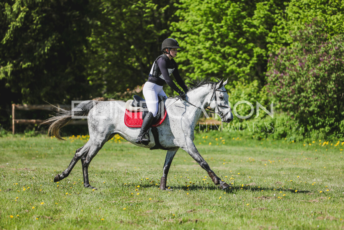 Parnu_CHI_3V_2026_CCN80_XC_035