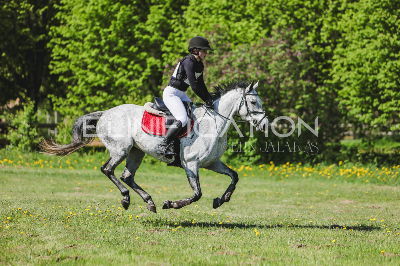 Parnu_CHI_3V_2026_CCN80_XC_036