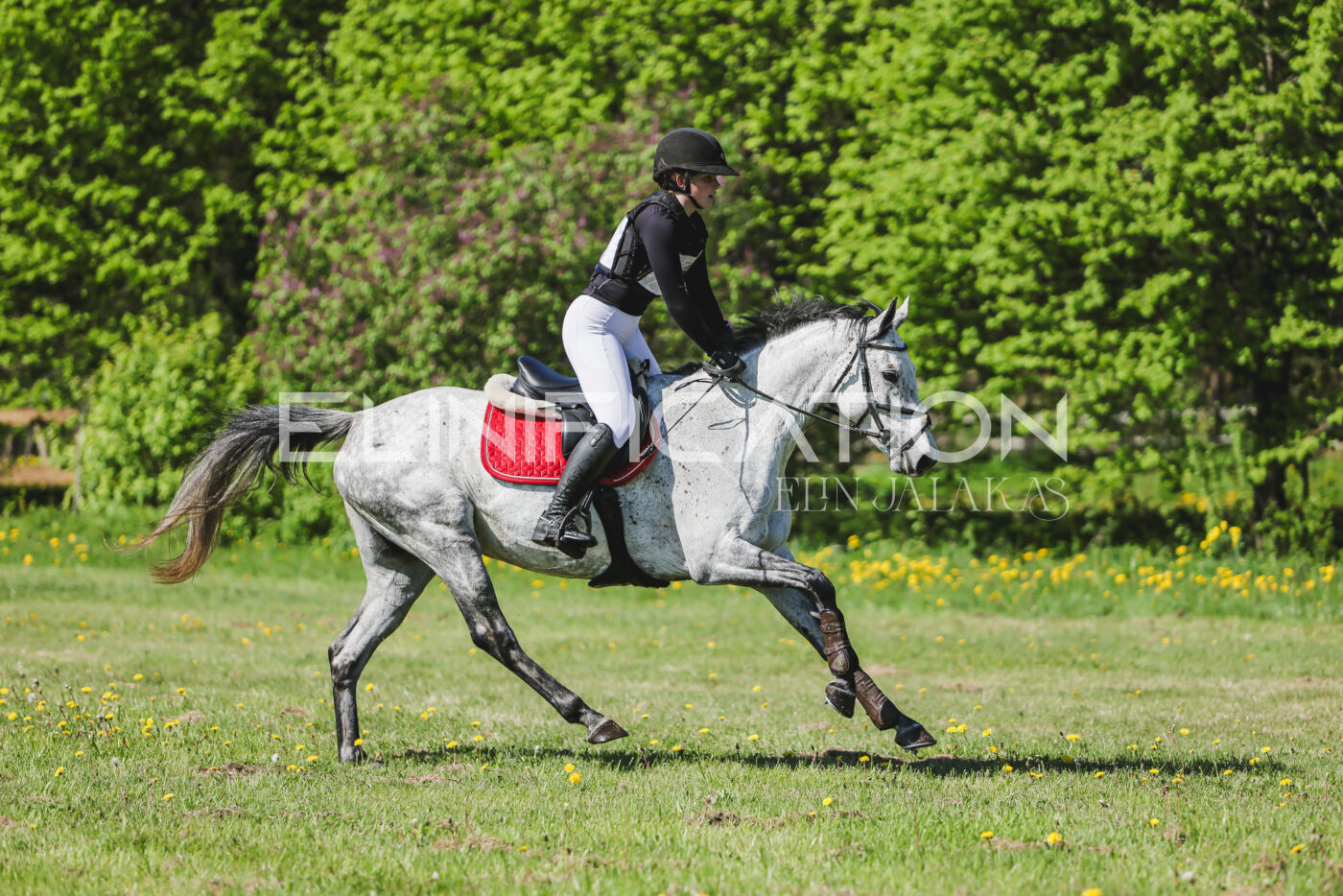 Parnu_CHI_3V_2026_CCN80_XC_037