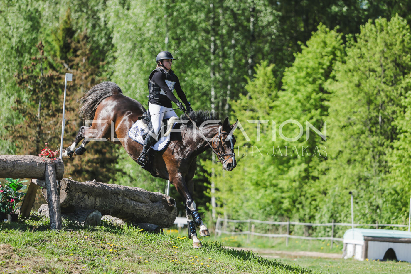 Parnu_CHI_3V_2026_CCN80_XC_053
