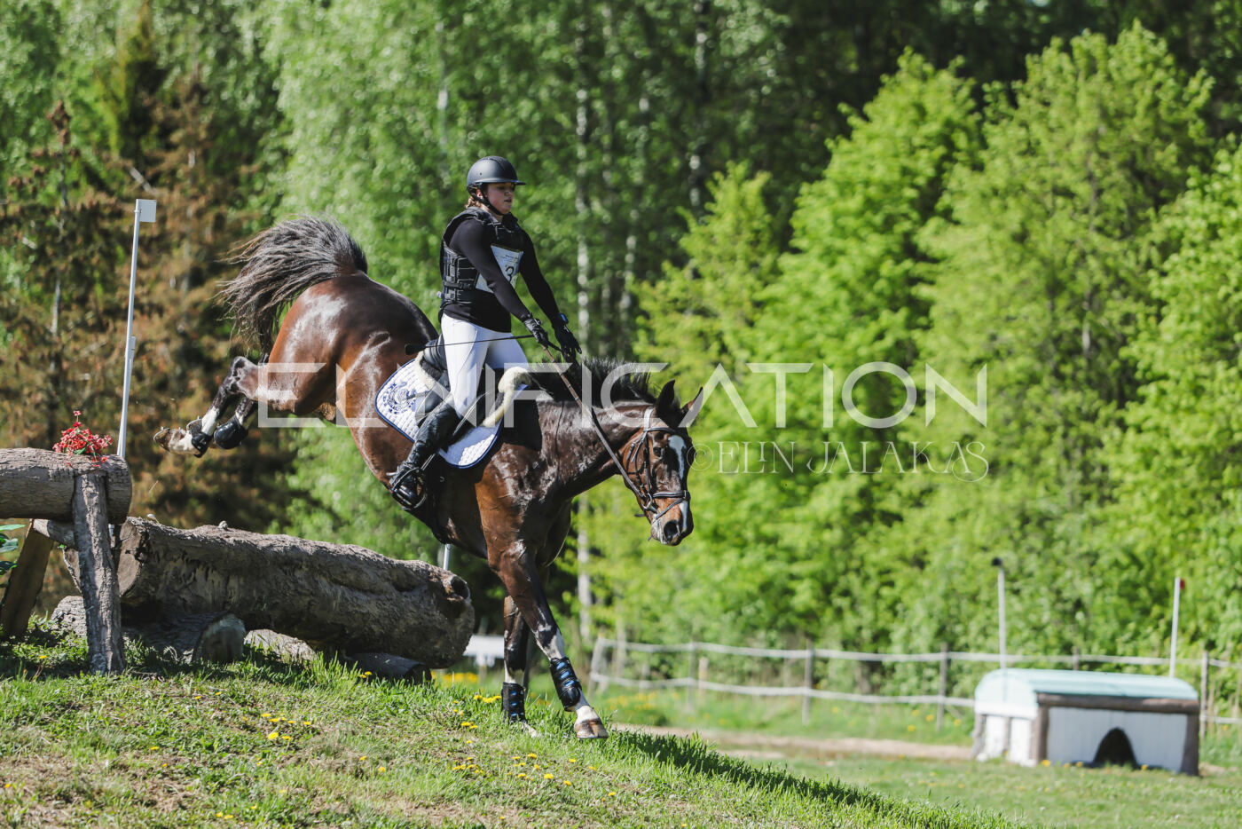 Parnu_CHI_3V_2026_CCN80_XC_054