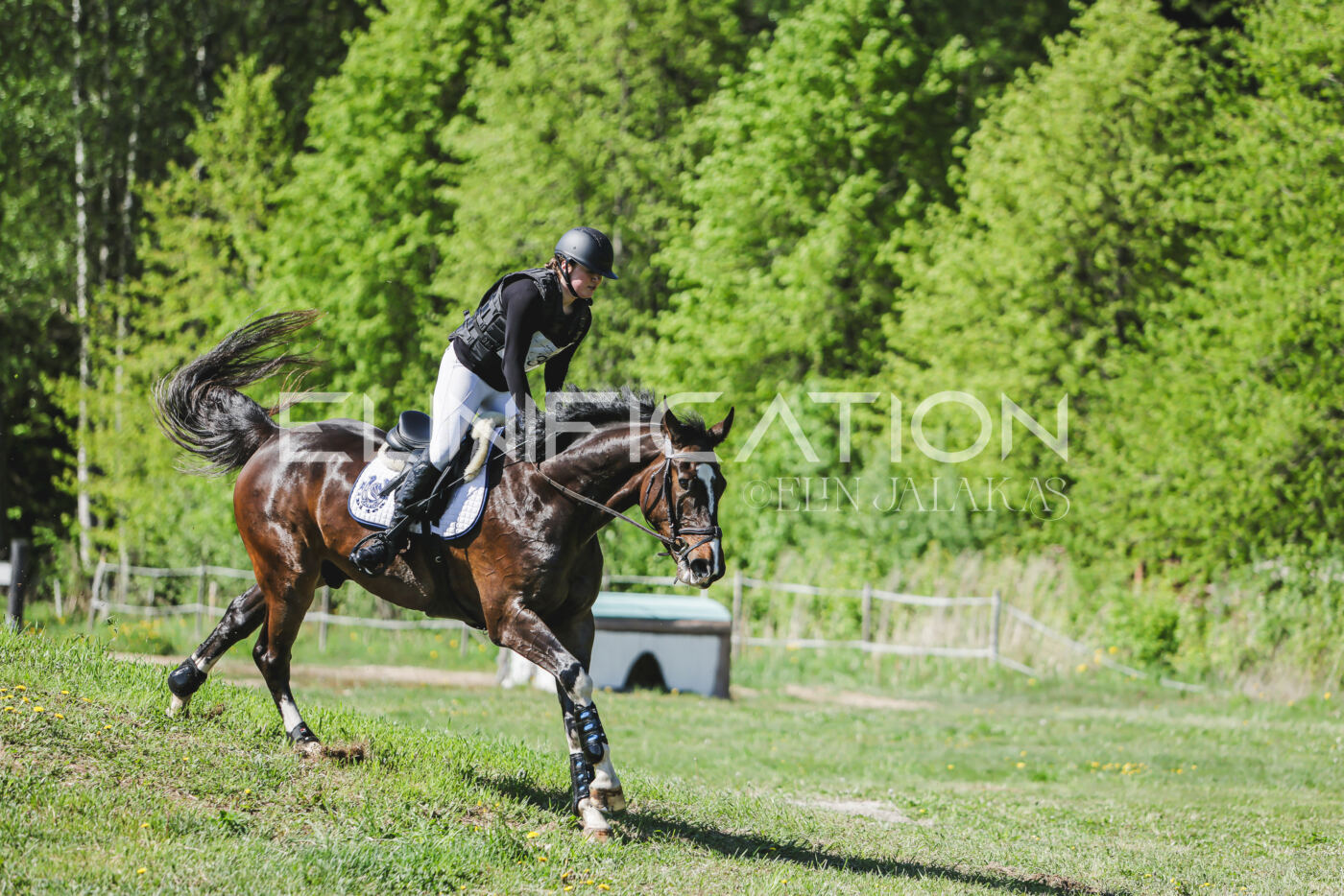 Parnu_CHI_3V_2026_CCN80_XC_055