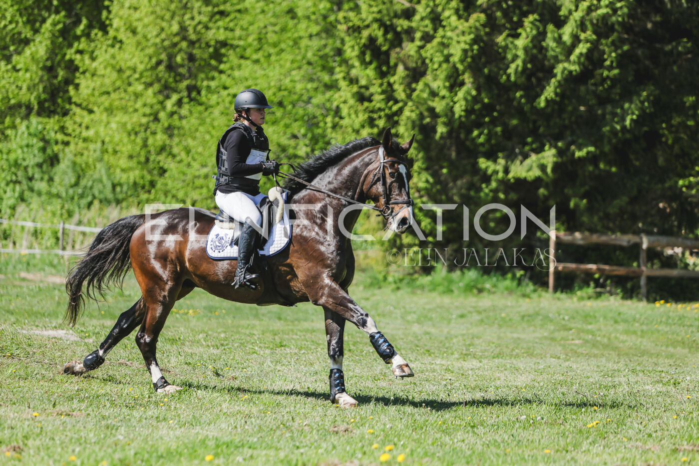 Parnu_CHI_3V_2026_CCN80_XC_056