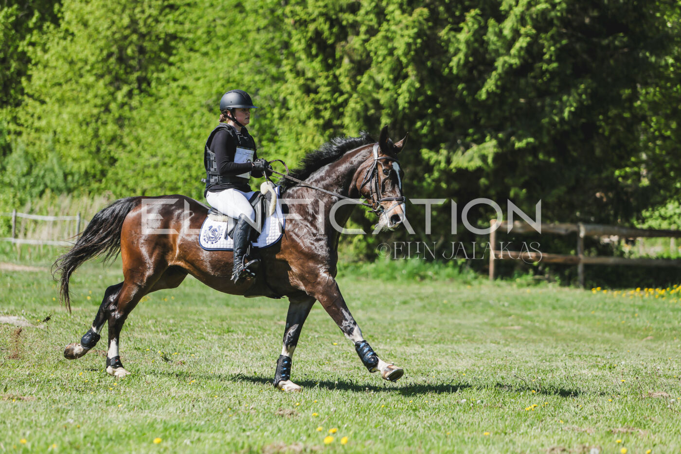 Parnu_CHI_3V_2026_CCN80_XC_057