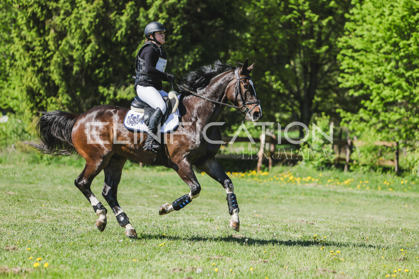 Parnu_CHI_3V_2026_CCN80_XC_058