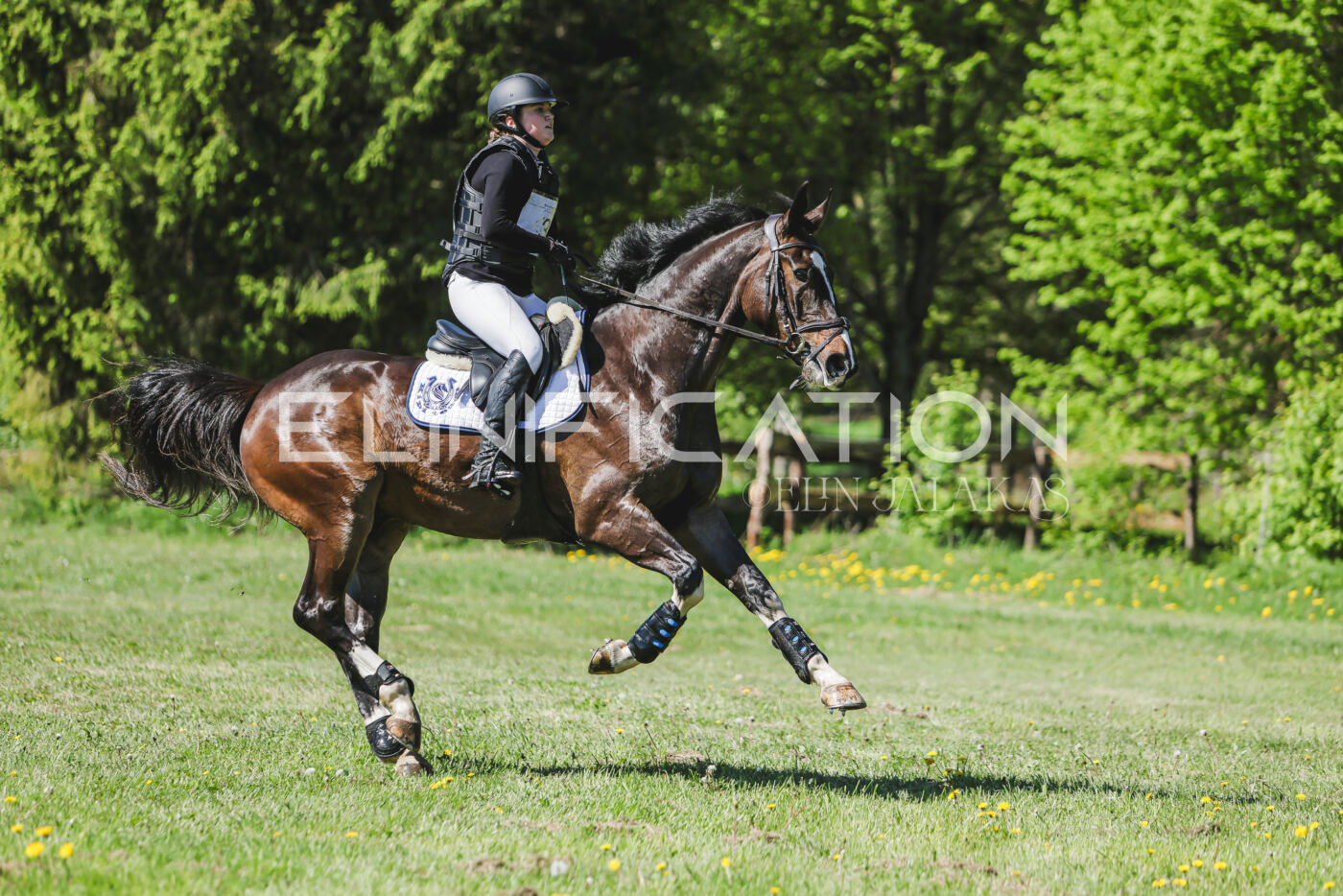 Parnu_CHI_3V_2026_CCN80_XC_059