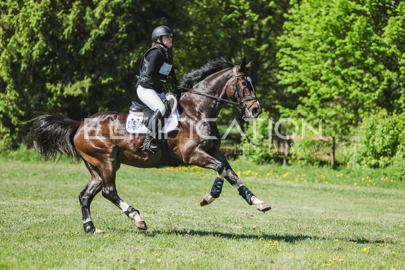 Parnu_CHI_3V_2026_CCN80_XC_060