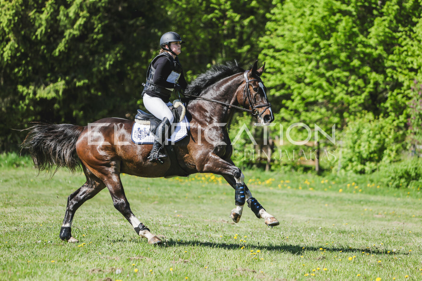 Parnu_CHI_3V_2026_CCN80_XC_061