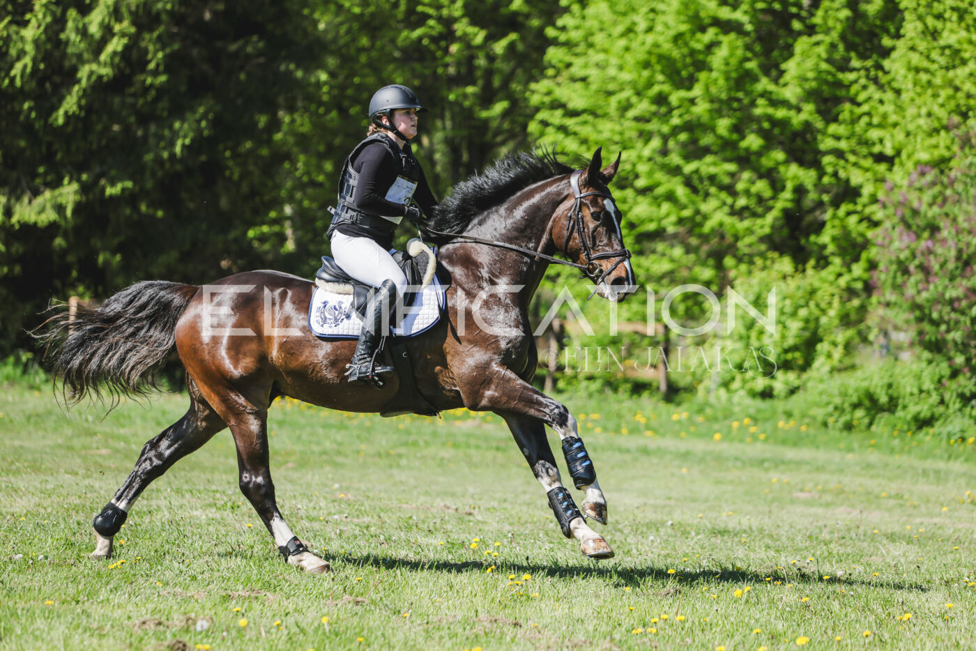Parnu_CHI_3V_2026_CCN80_XC_062