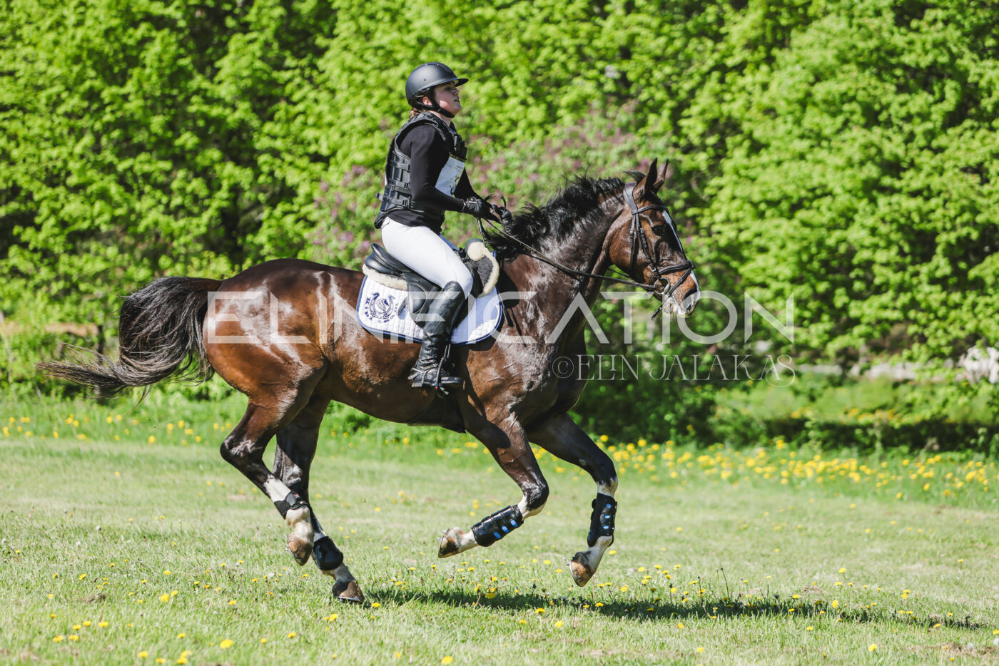 Parnu_CHI_3V_2026_CCN80_XC_063
