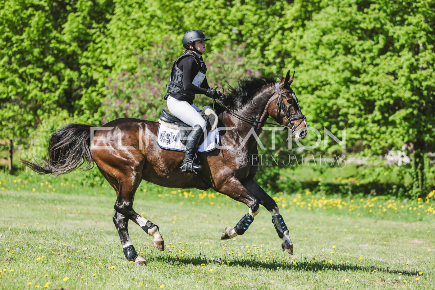 Parnu_CHI_3V_2026_CCN80_XC_064