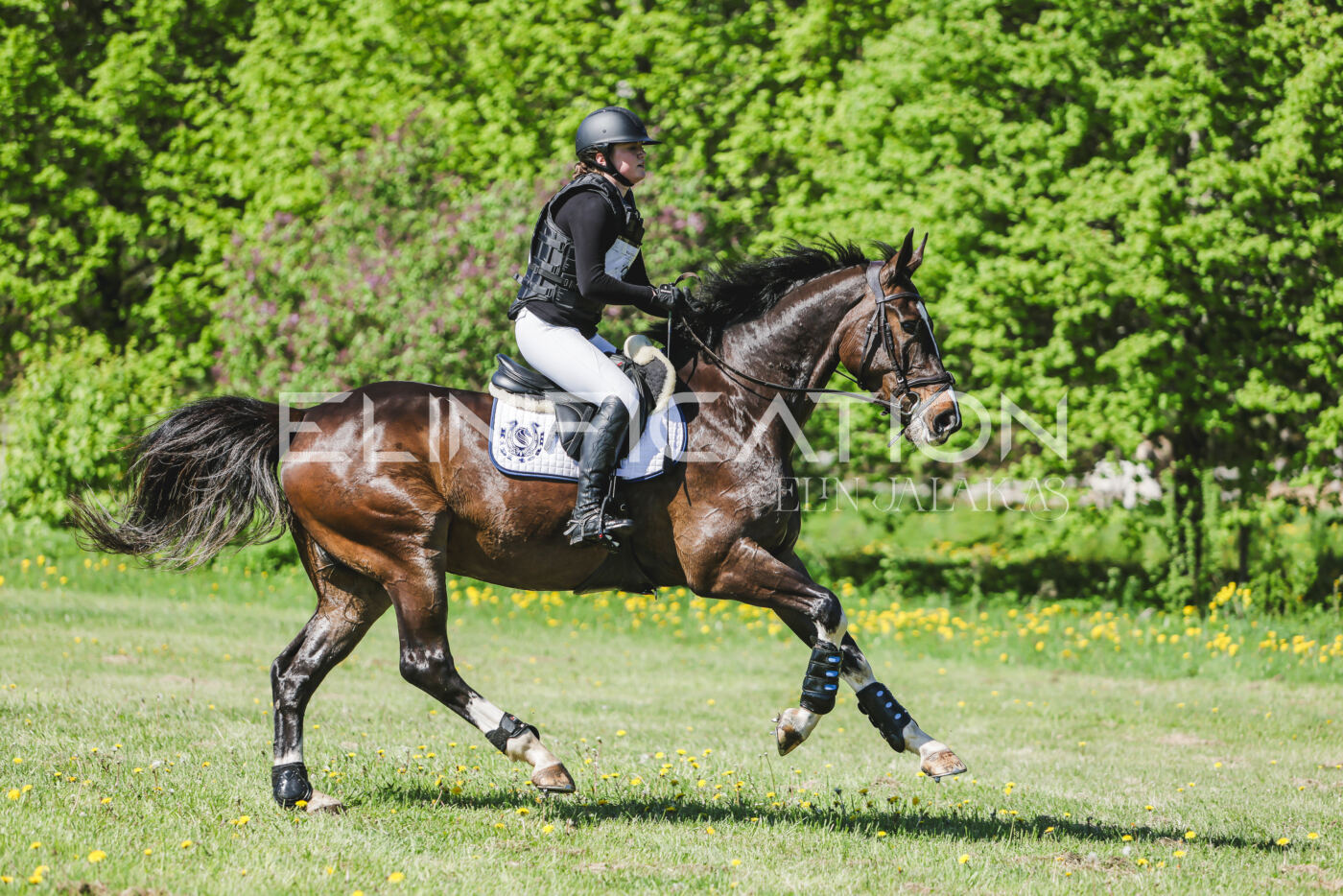 Parnu_CHI_3V_2026_CCN80_XC_065