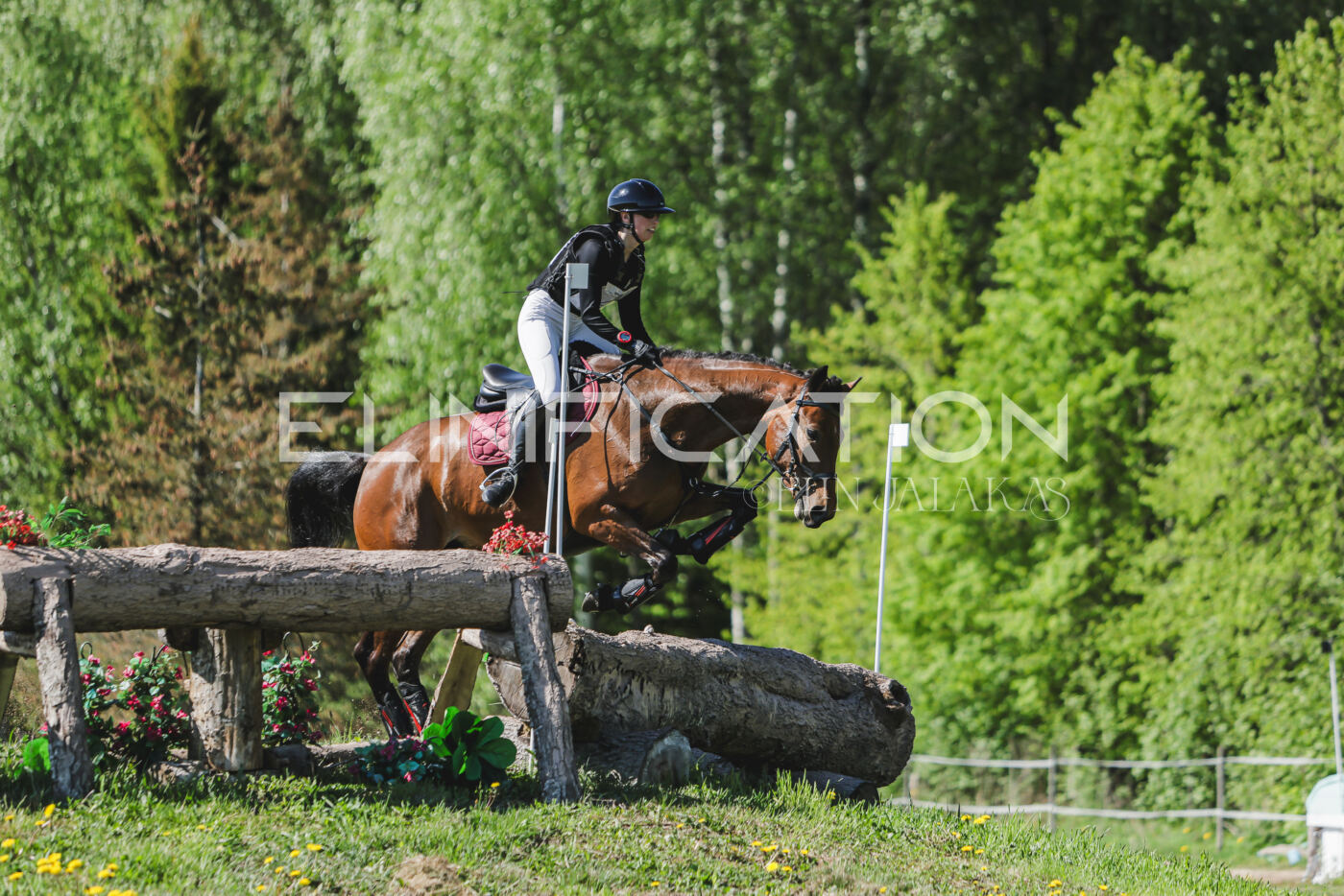 Parnu_CHI_3V_2026_CCN80_XC_080