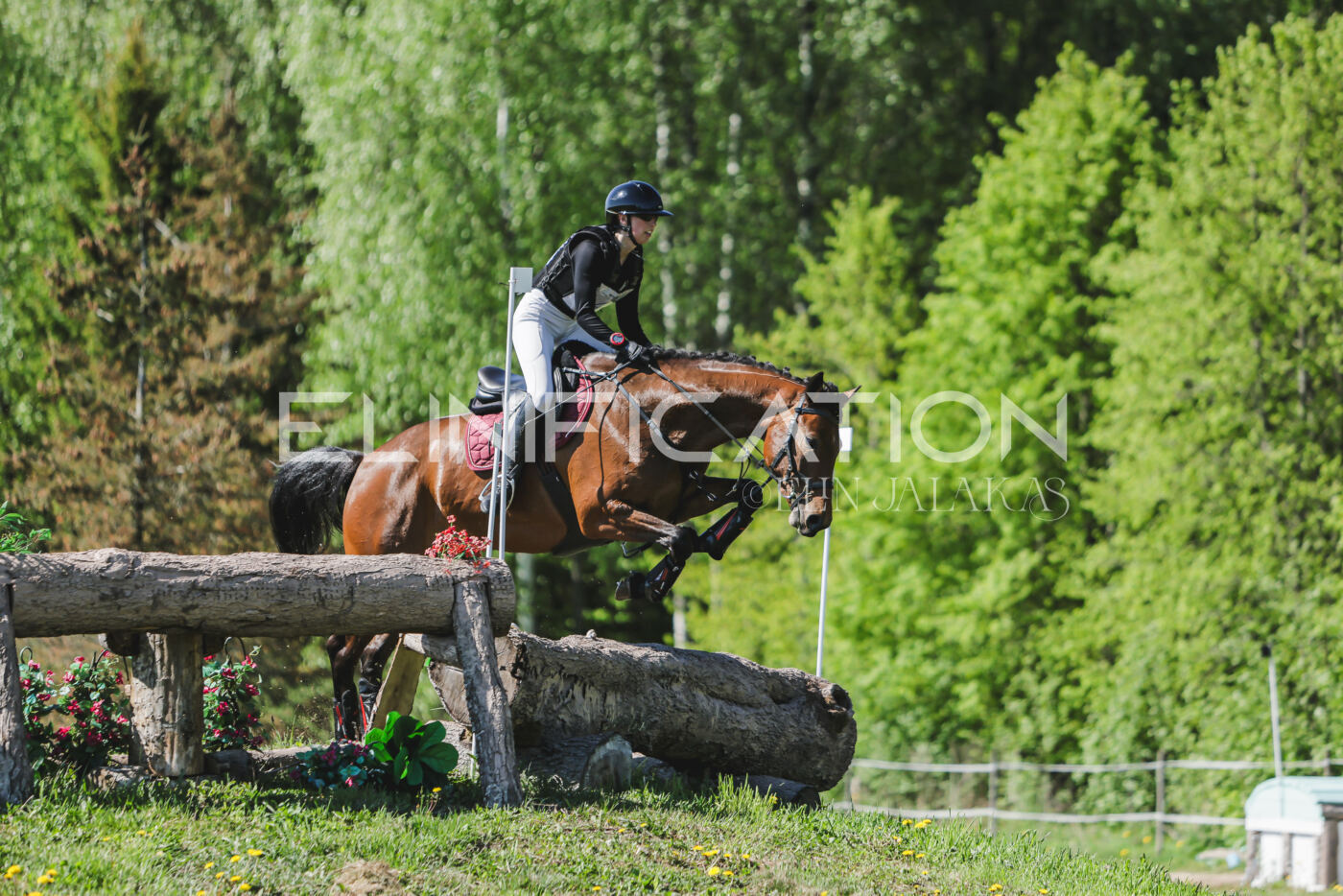 Parnu_CHI_3V_2026_CCN80_XC_081