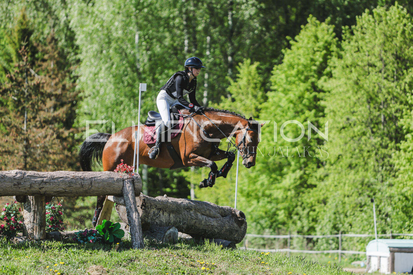 Parnu_CHI_3V_2026_CCN80_XC_082