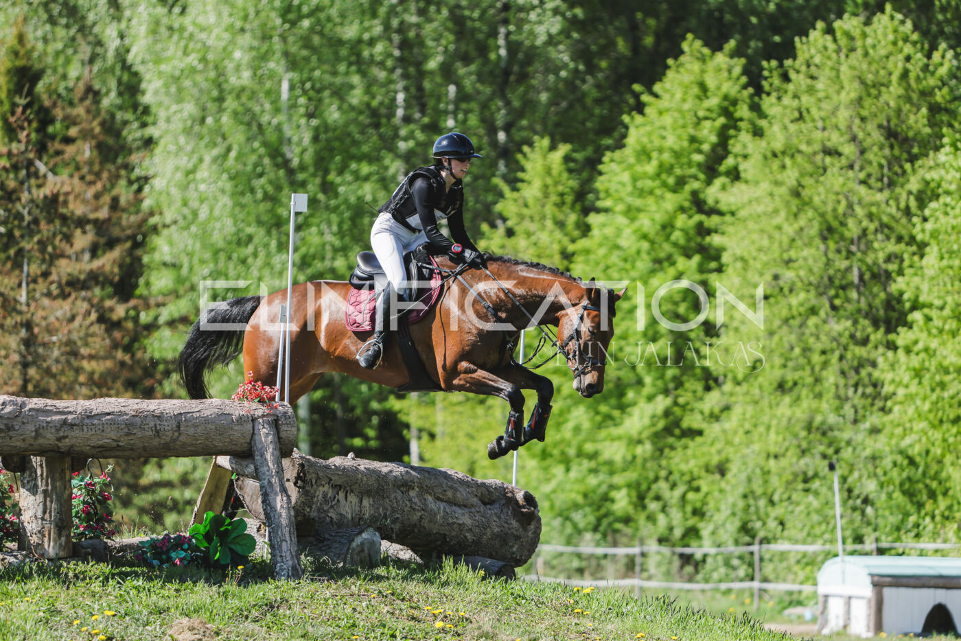 Parnu_CHI_3V_2026_CCN80_XC_083