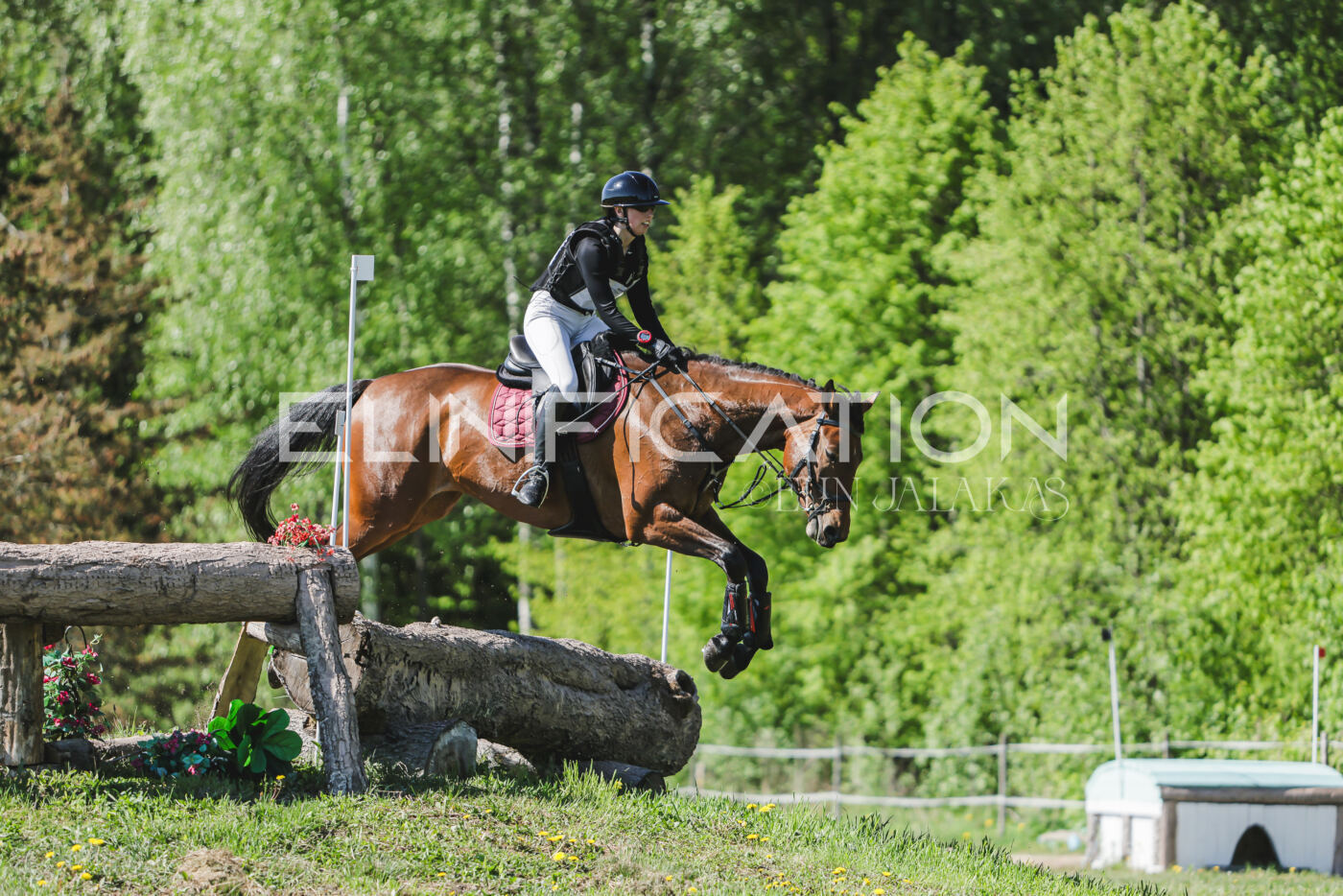 Parnu_CHI_3V_2026_CCN80_XC_084