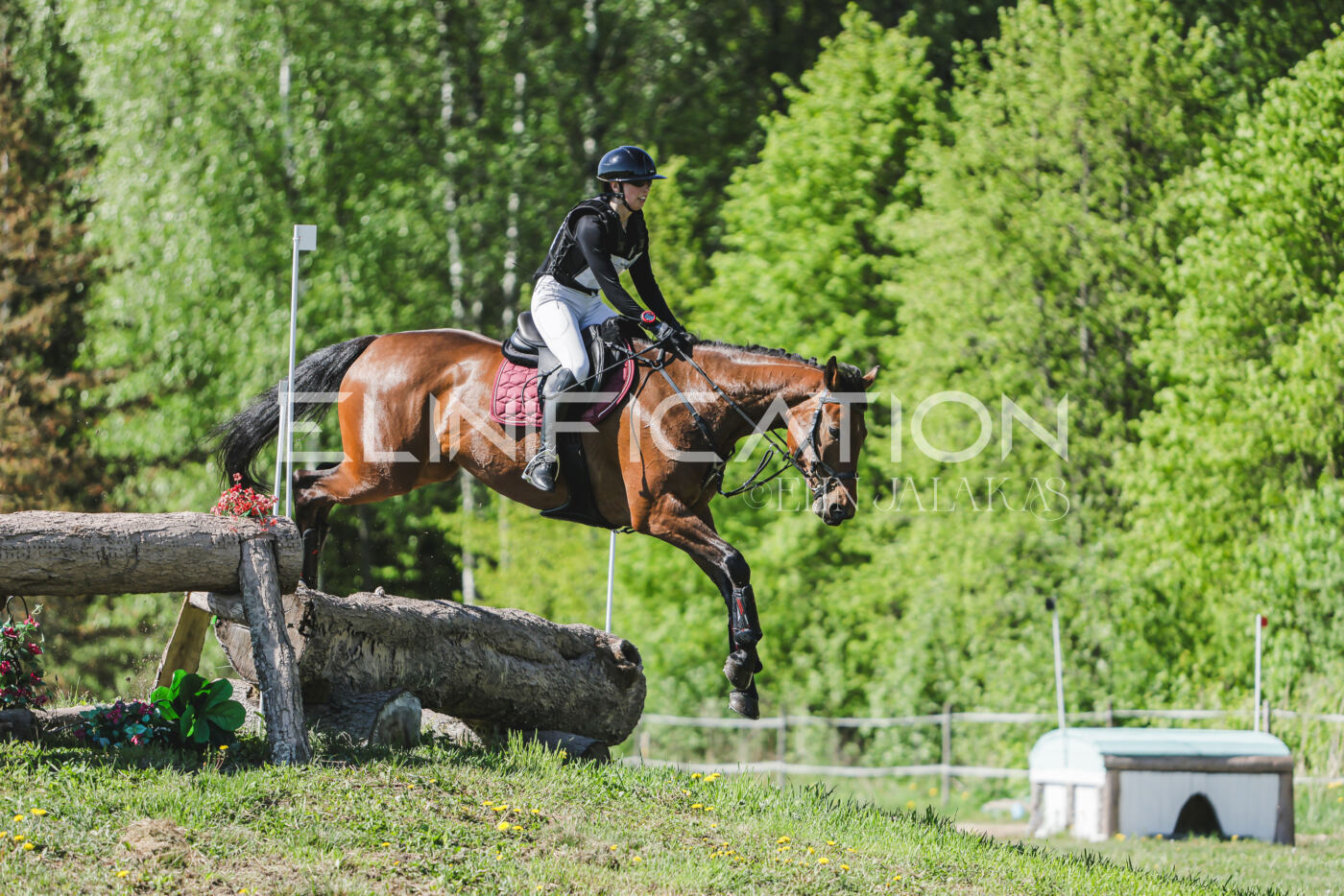 Parnu_CHI_3V_2026_CCN80_XC_085