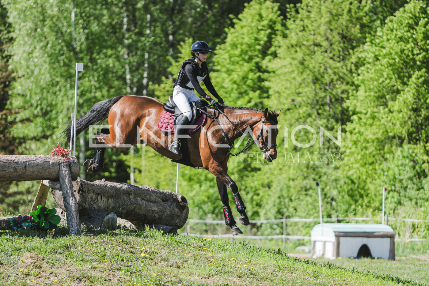 Parnu_CHI_3V_2026_CCN80_XC_086