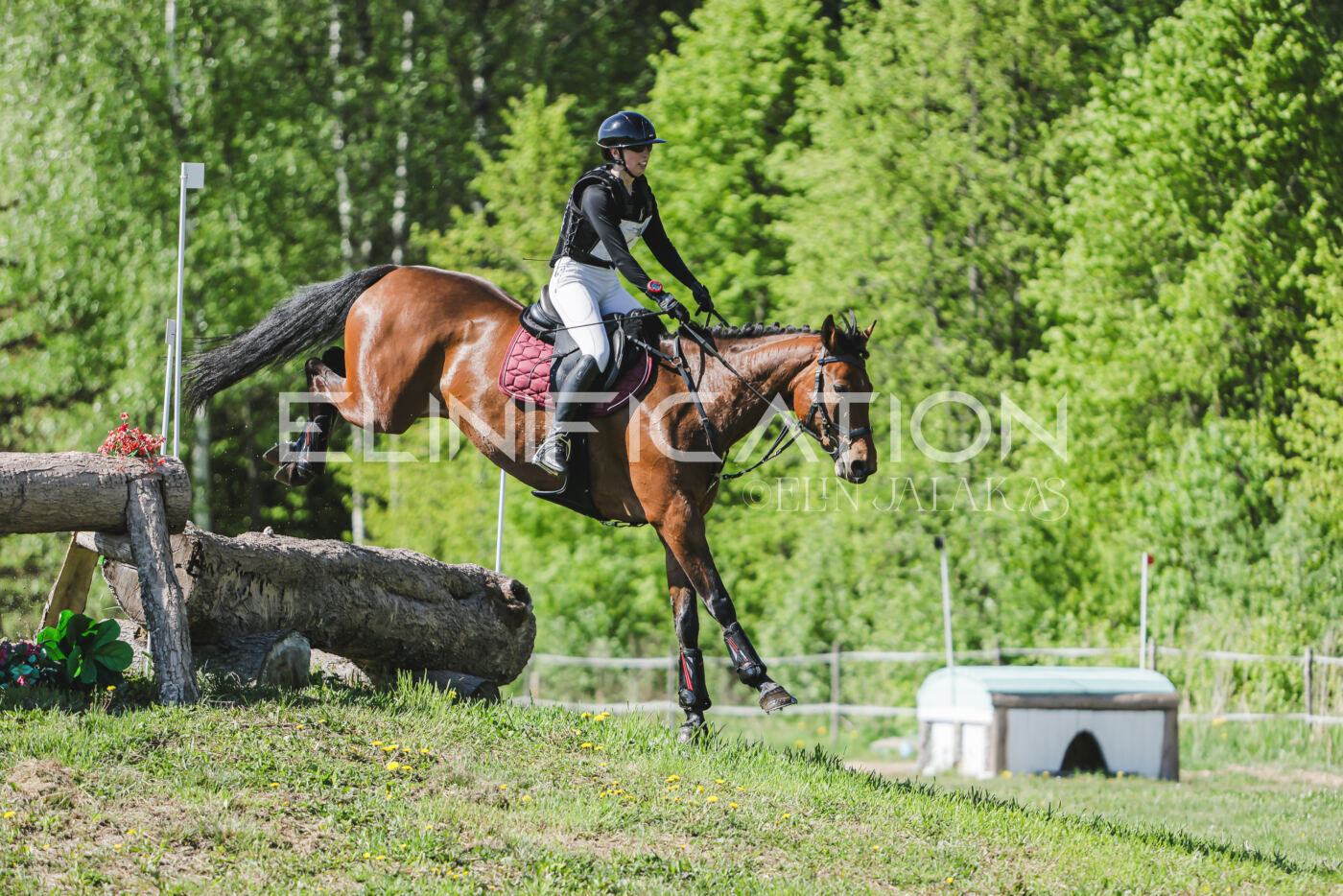 Parnu_CHI_3V_2026_CCN80_XC_087
