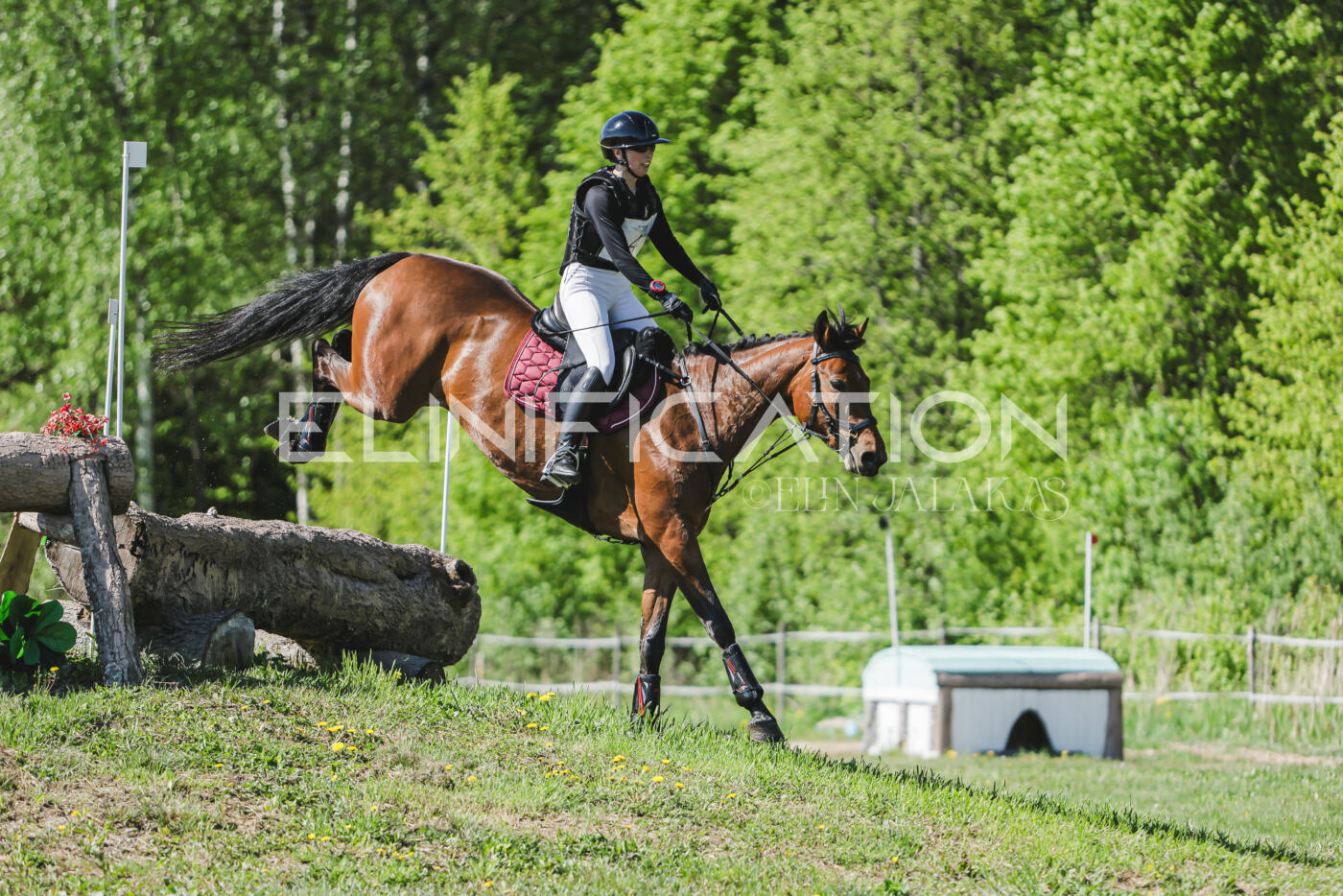 Parnu_CHI_3V_2026_CCN80_XC_088